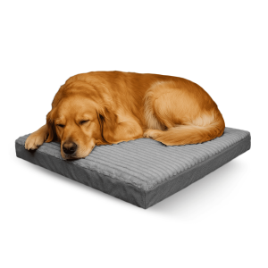 Hundebett